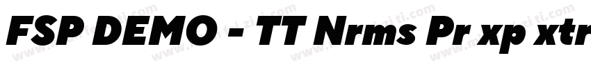FSP DEMO - TT Nrms Pr xp xtrBld字体转换